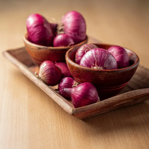 Cebolla