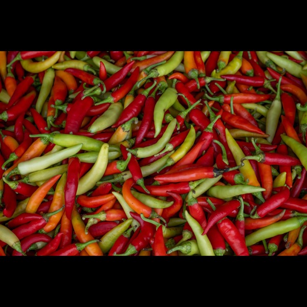 Chile fresco