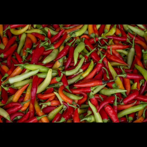 Chile