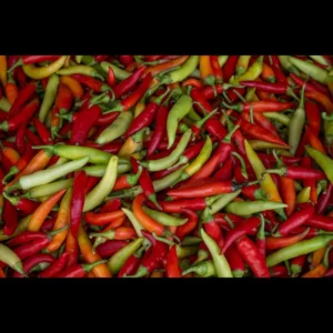 Chile fresco — Agrialemana